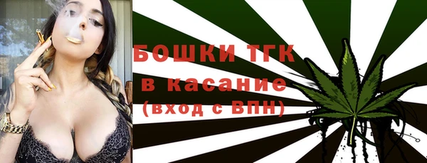 СК Медногорск