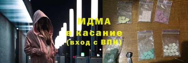 индика Медвежьегорск
