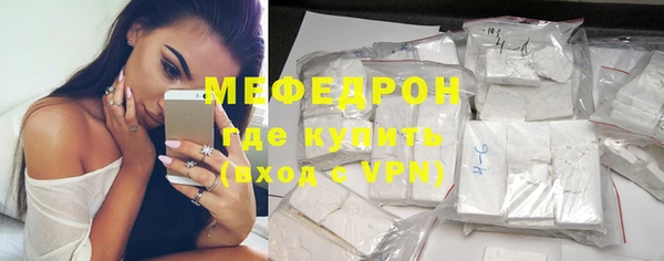 индика Медвежьегорск
