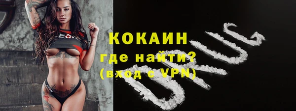 гашик Мегион