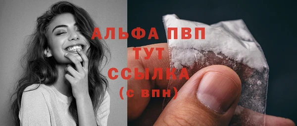 гашик Мегион
