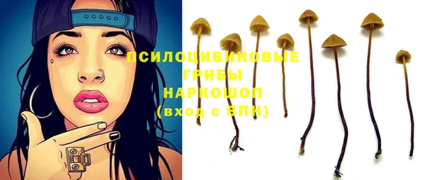 СК Медногорск