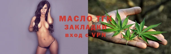 индика Медвежьегорск