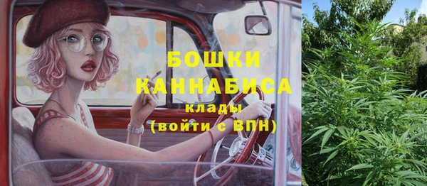 СК Медногорск