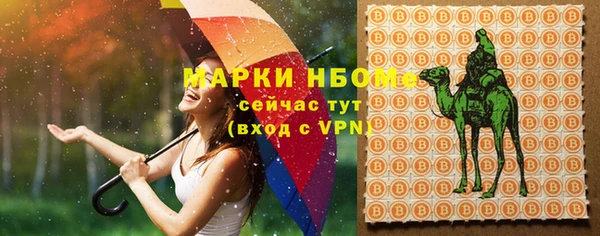 гашик Мегион
