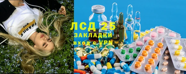 гашик Мегион