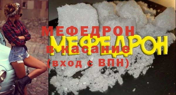индика Медвежьегорск