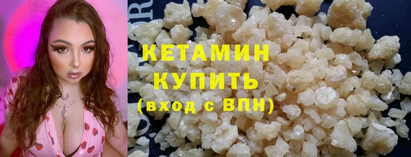 индика Медвежьегорск