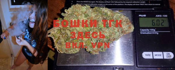 индика Медвежьегорск
