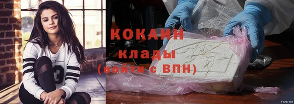 индика Медвежьегорск