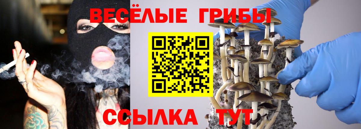 Пермь  Галлюциногенные грибы MAGIC MUSHROOMS  Вход с VPN 